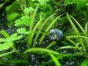 20130707_162923.jpg