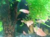 20130707_164112.jpg