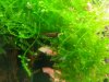 20130707_164310.jpg