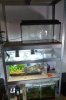 Aquarium 117.jpg