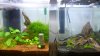 Aquarium 120.jpg