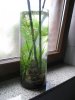 Vase I.JPG