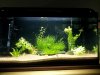 20130711_092257.jpg 20130711_092257.jpg