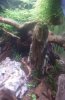 DSC_0109-2.jpg