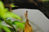_DSC0108.JPG