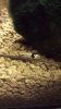 20130716_190012.jpg 20130716_190012.jpg