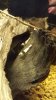 20130716_192916.jpg 20130716_192916.jpg