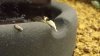 20130717_171215.jpg 20130717_171215.jpg