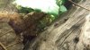 20130717_173451.jpg 20130717_173451.jpg