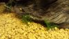 20130717_173546.jpg 20130717_173546.jpg