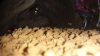 20130717_173836.jpg 20130717_173836.jpg