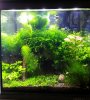 30 l.jpg 30 l.jpg