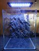 Fluval_3.JPG Fluval_3.JPG