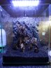 Fluval_6.JPG Fluval_6.JPG