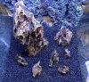 Fluval_7.JPG Fluval_7.JPG