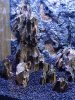 Fluval_8.JPG Fluval_8.JPG