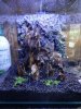 Fluval_9.JPG Fluval_9.JPG