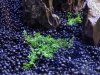 Fluval_11.JPG Fluval_11.JPG