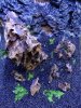 Fluval_12.JPG Fluval_12.JPG