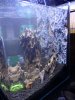 Fluval_14.JPG Fluval_14.JPG