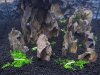 Fluval_16.JPG Fluval_16.JPG