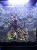 Fluval_17.JPG Fluval_17.JPG