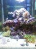 20130720_195318.jpg
