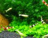 DSC02210.JPG