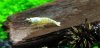 DSC02166.JPG