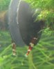 DSC02012.JPG