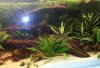 20130728_071946.jpg 20130728_071946.jpg