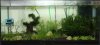 Black Rili - Becken.jpg