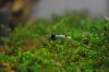 _DSC0285.JPG