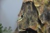_DSC0299.JPG