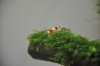 _DSC0329.JPG
