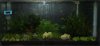 Black Rili - Becken.jpg