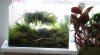 Komplettansicht mit Orchidee.JPG Komplettansicht mit Orchidee.JPG