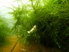 DSCN3774.JPG