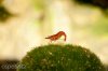 DSC05962.jpg