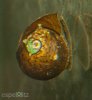 DSC06112.jpg