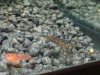 20130811_210819.jpg