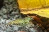 20130811_210855.jpg