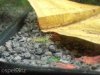 20130811_210900.jpg