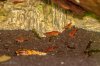 DSC06143.jpg