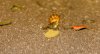 DSC06161.jpg