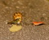 DSC06162.jpg