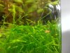 20130820_142217.jpg