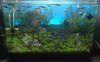 Aquarium.jpg Aquarium.jpg