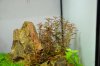 _DSC0333.JPG