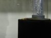 DSCN4119.JPG